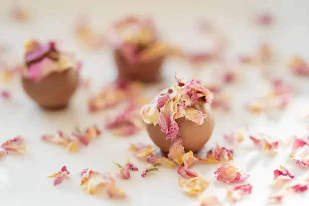 울트라 카지노 안드로이드/iOS 앱